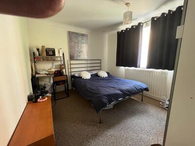 Picture 10